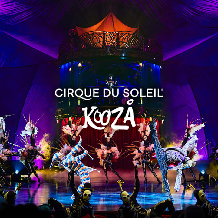 Cirque du Soleil in Singapore: A World-Class Live Spectacle You
